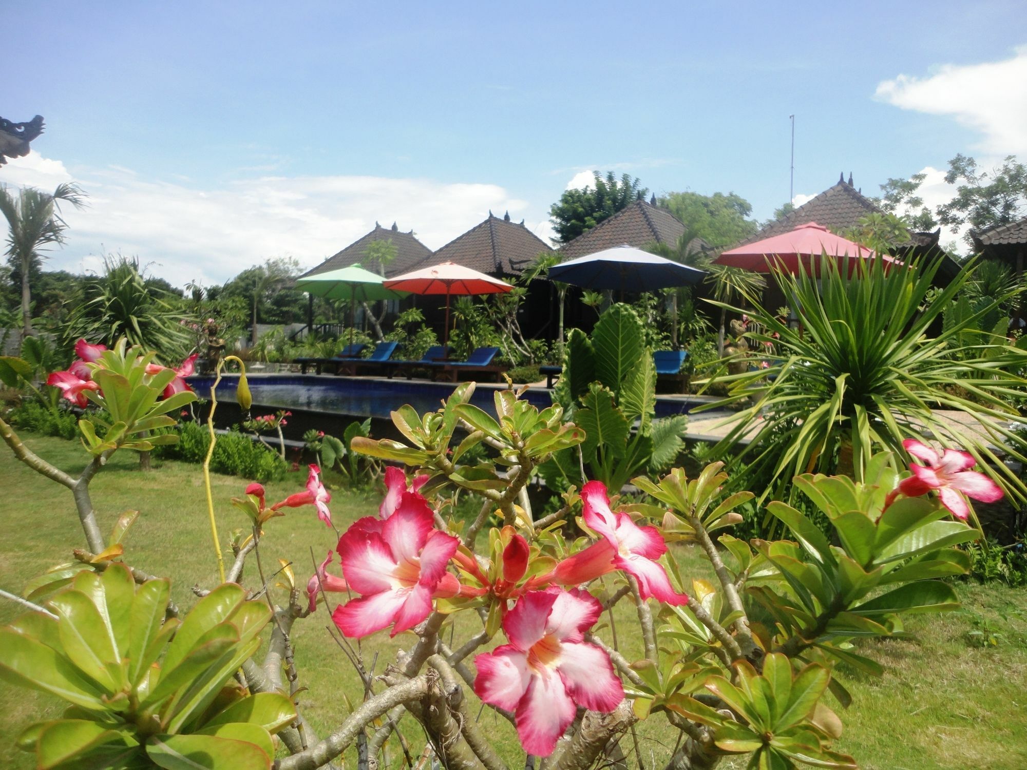 Dream Beach Berlian Lembongan Buitenkant foto